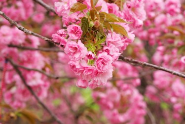 金华武义线下个人借款平台一站式服务，轻松解决资金难题