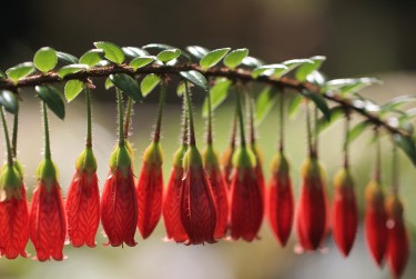 金华武义零用贷短借：轻松解决临时资金需求