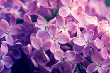 金华武义企业急用钱贷款攻略：快速融资解燃眉之急